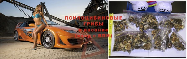 марки lsd Нефтегорск